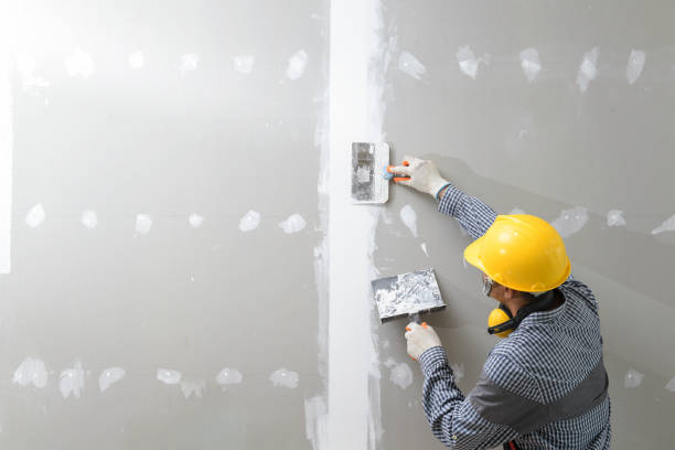 Mold Remediation for Vacation Homes in Csar Chvez, TX
