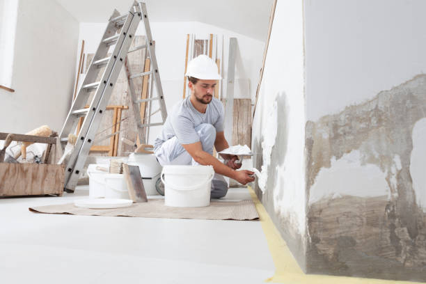 Best Industrial Mold Remediation  in Csar Chvez, TX